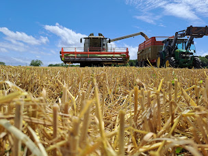 Photo n°17 de Anjou Fourrage Tradition à Jarzé Villages (Magasin d'alimentation animale)