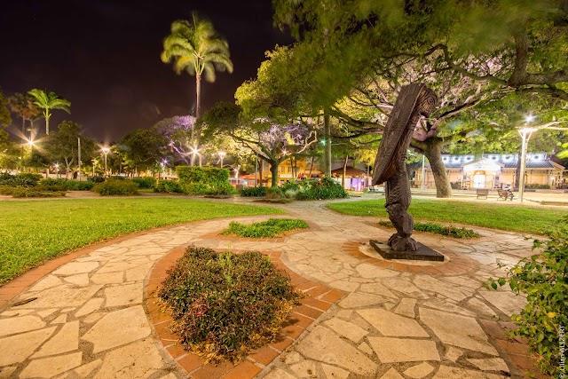 Place Des Cocotiers