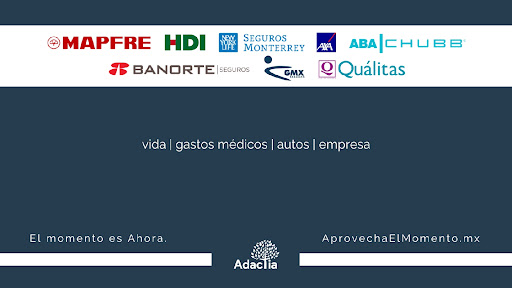 EHL | Adactia Seguros y Fianzas - Thumbnail