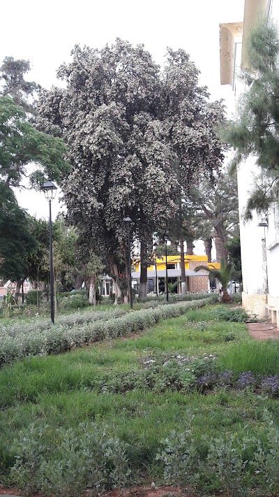Photos of Park Mohammed V