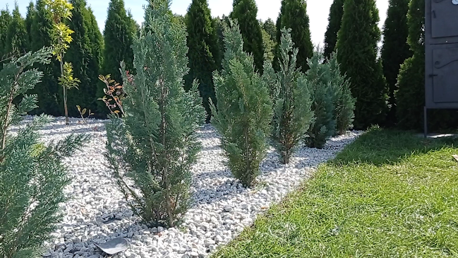 Tuje Gorzów - Gorzów Wielkopolski