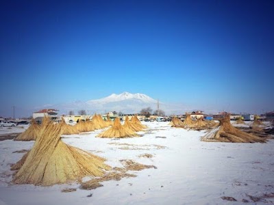 Photos of Tunalar Kamış Hasir Saz Hasır Kamış &Ccedil;atı Ot Cati