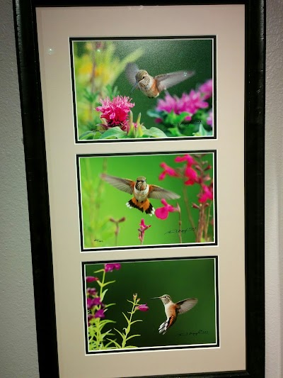 Photos of Mangelsen Images of Nature