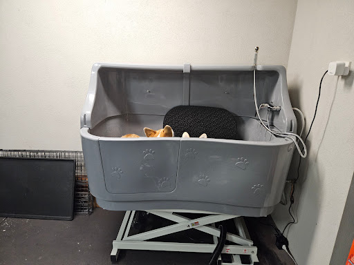City Beach Plumbing and Gas - Thumbnail