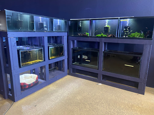 Xochi Aquatic - Thumbnail