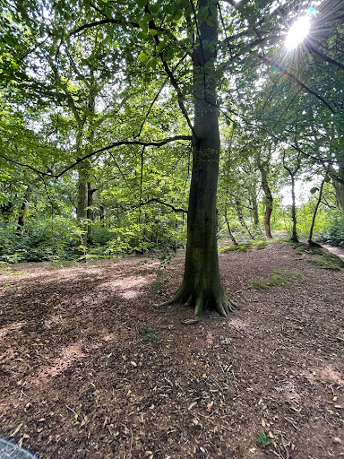 Spiegelvijver - Thumbnail