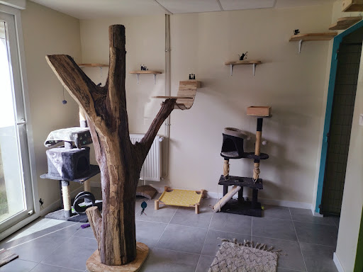 Photo de La maison de Savenol à Meslan (56320)