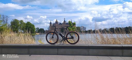 Bicycle, Pedelec, Riksha, Surreybikes for rent Gallery - Germany