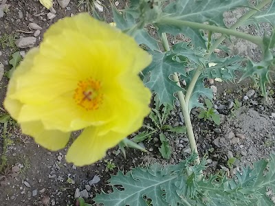 Photos of Reinaldo Espinosa Botanical Garden