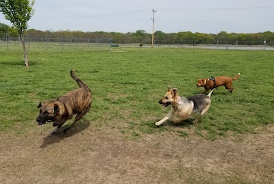 Cooper Dog Park