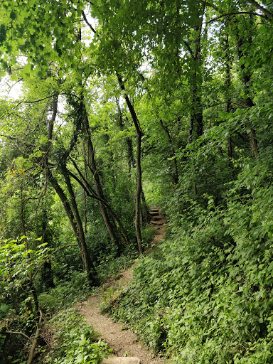 Fontanì - Visual