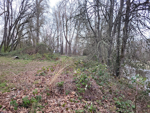 River Loop Park - Visual