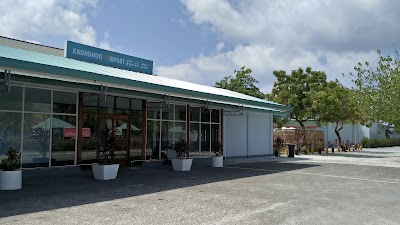 Photos of Kadhdhoo Airport