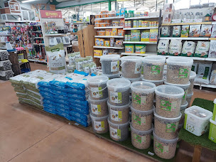 Photo n°3 de GAMM VERT à Chauffailles (Pépinière)