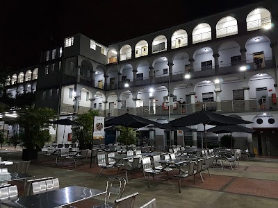 university