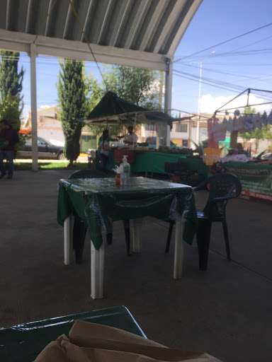 Alternative market Apizaco