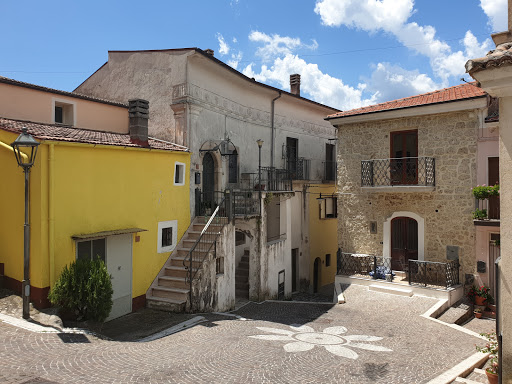 Scapoli - Visual