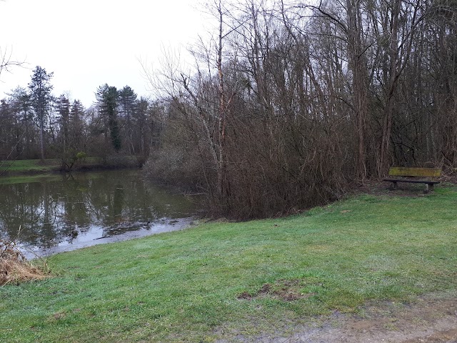 Plaines De Sorques