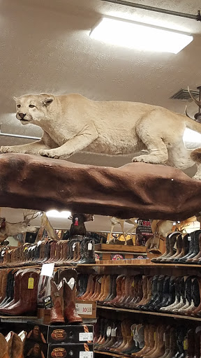 Cavender's Horsetown West - Thumbnail