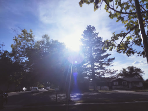 Mapleview Mobile Home Park