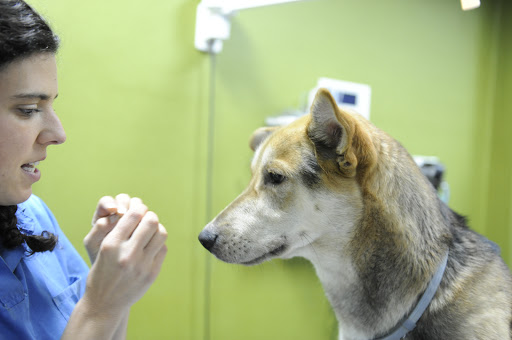 Clinica Veterinaria Wecan Cosmopet