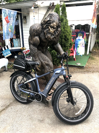 BOJ-E-BIKES - Visual