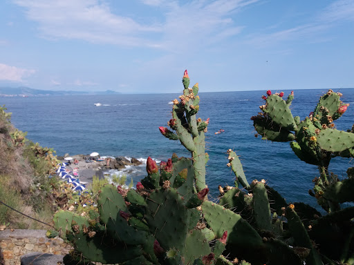 Comunione Pineta Di Arenzano - Thumbnail