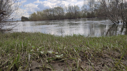 Mittelweser - Thumbnail