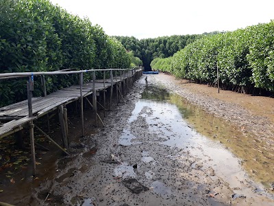 Photos of HUTAN MANGROVE AYAH KEBUMEN