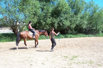 Photos of Reitschule Palido | Nora Altmann | Reiten in Dresden-Mockritz