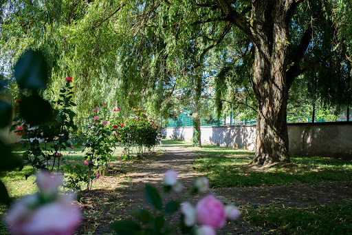Photo de EHPAD SAINTE-THÉRÈSE à Flavigny-sur-Moselle (54630)