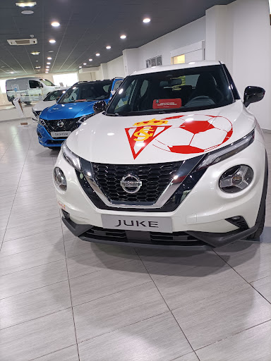 Nissan Cyasa - Thumbnail