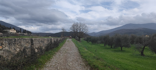 Travalle - Thumbnail