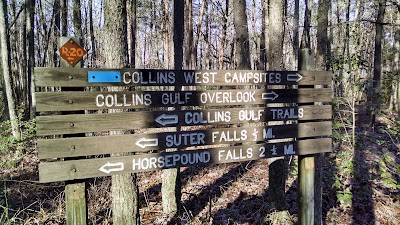 Collins Gulf at South Cumberland State Park