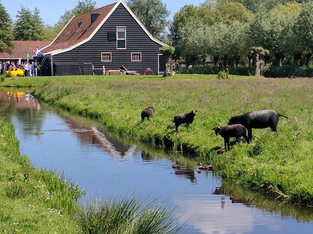 Zaanse schans bike rent