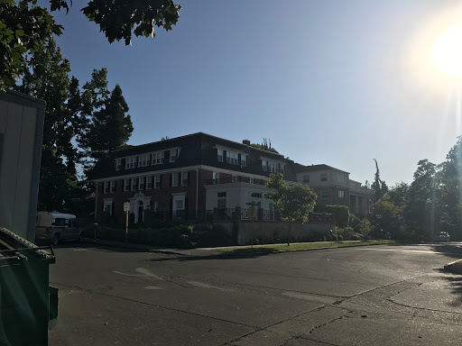 Pi Beta Phi - Visual