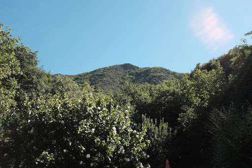 Moulin Du Chaze Merle
