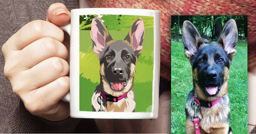 DogFace, Inc - Visual