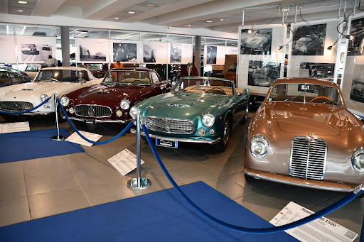 Museo Nicolis - Visual
