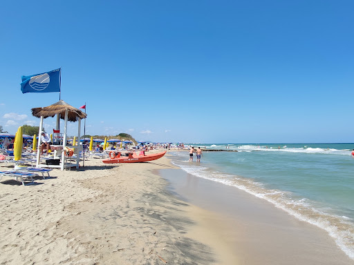 Lido Morelli - Visual