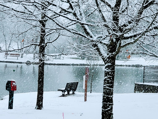 Homestead Metro Park Covered Bridge - Thumbnail