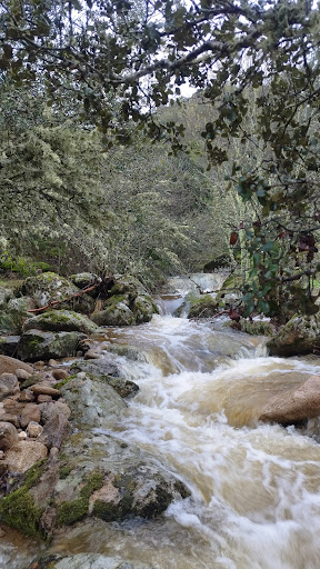 Los Churriones Waterfall Gallery - Spain