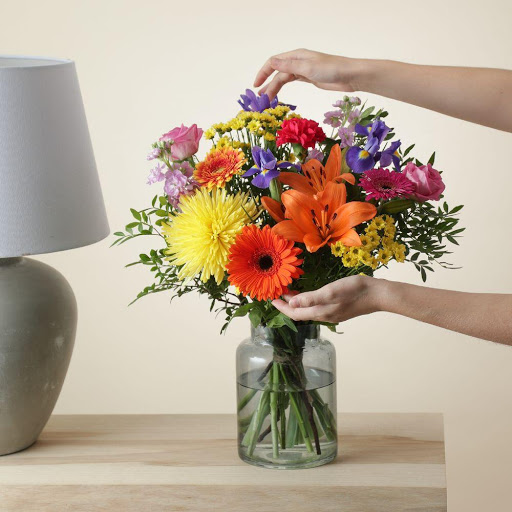 Zing Flowers - Visual