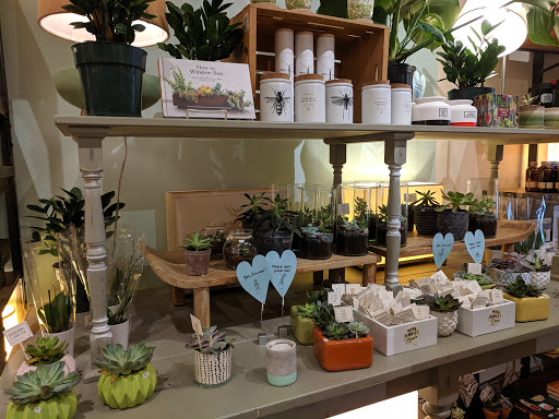 Open House Store - Thumbnail