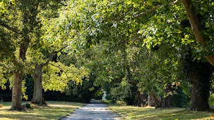 Photo n°10 de Clos Mirabel à Jurançon (Séminaire)