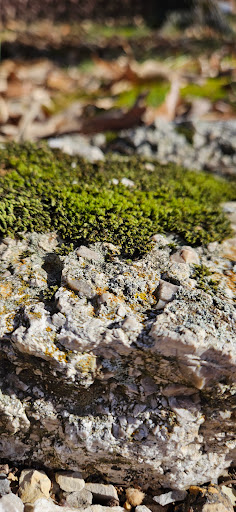 River Bend Property Owners Association Inc - Thumbnail