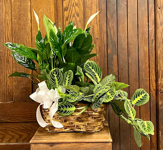 Mrs. DeHaven's Flower Shop by null