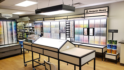 Creative Paints - Visual