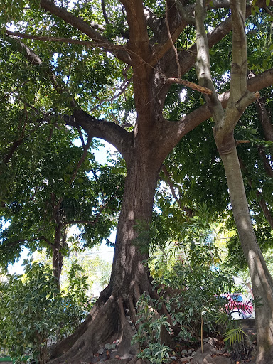 Fonatur Park - Thumbnail