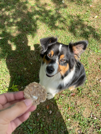 Biscuit’s Biscuits - Thumbnail